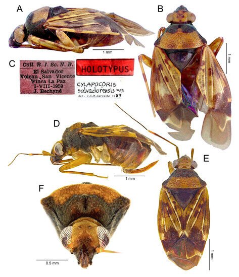 Insects 14 00721 g012