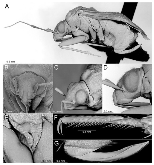 Insects 14 00721 g013