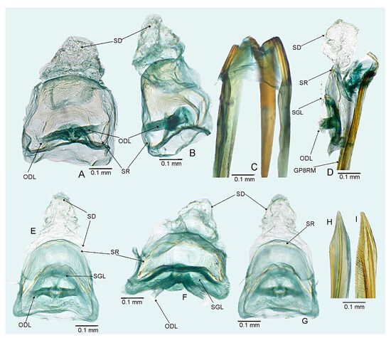 Insects 14 00721 g014
