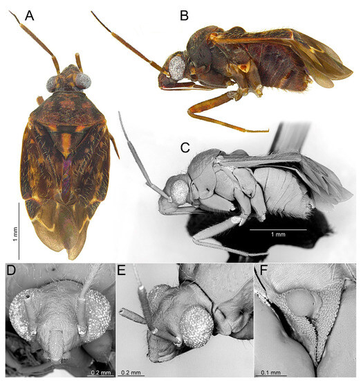 Insects 14 00721 g015
