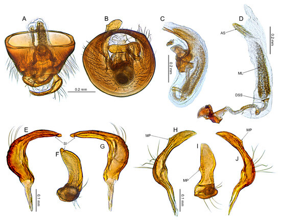 Insects 14 00721 g016