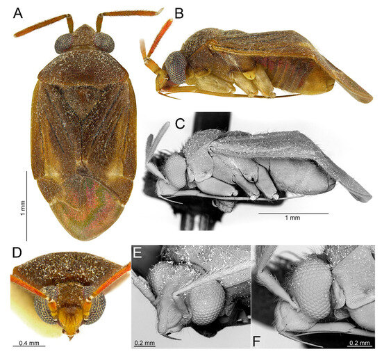 Insects 14 00721 g017
