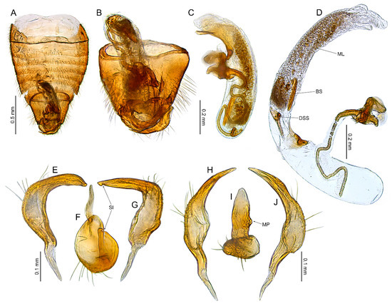Insects 14 00721 g018