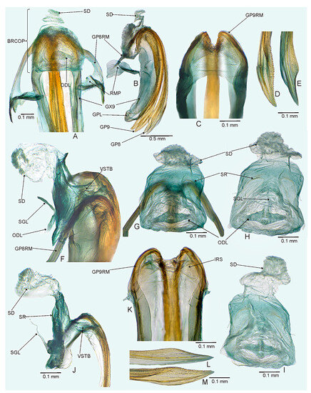 Insects 14 00721 g019