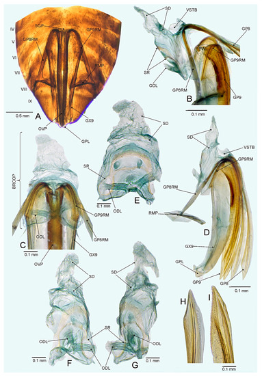 Insects 14 00721 g020