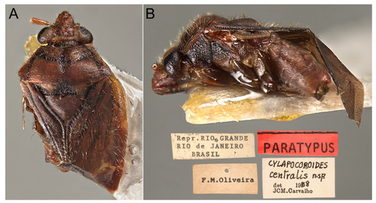 Insects 14 00721 g021