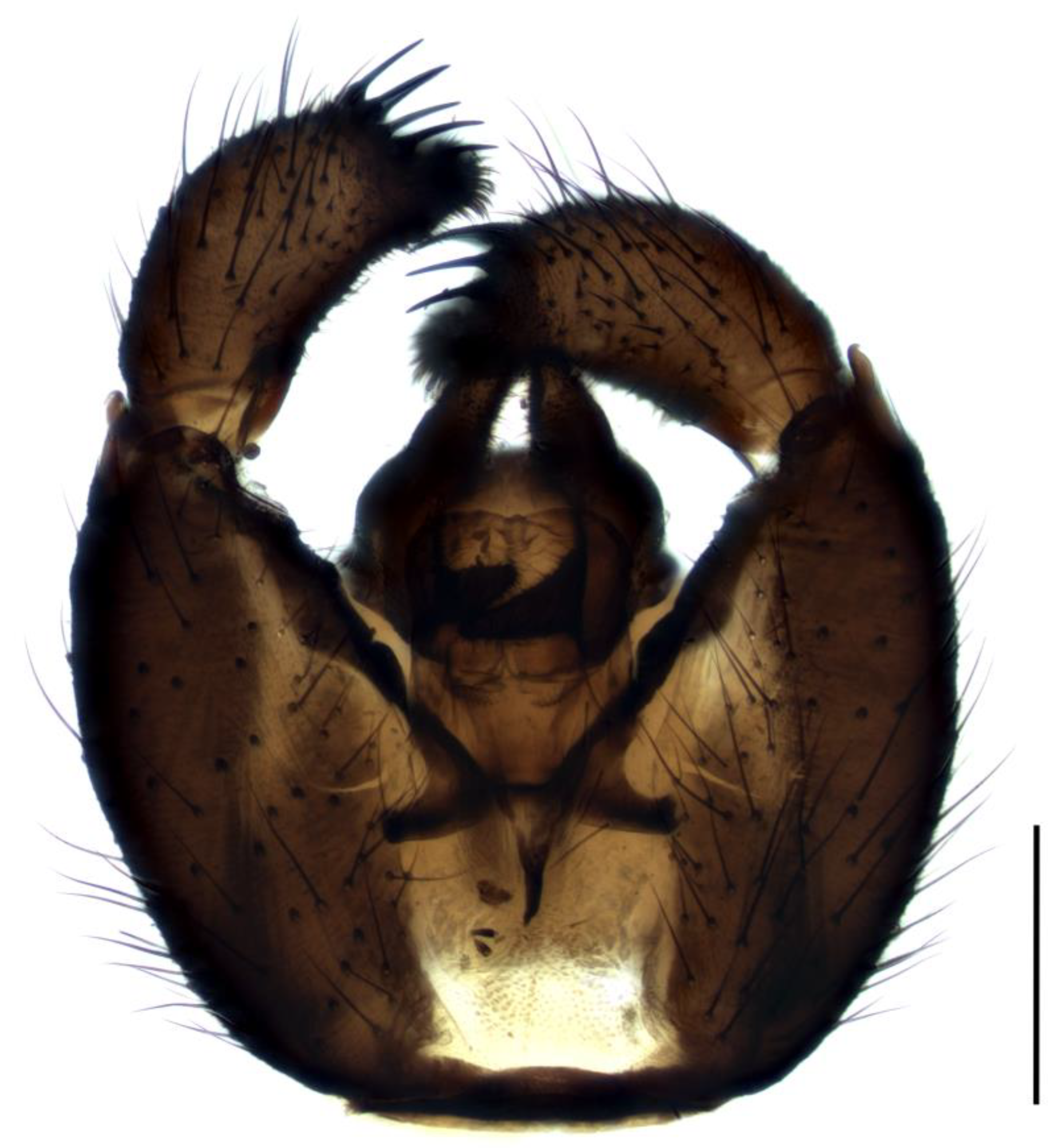 Insects 14 00732 g002