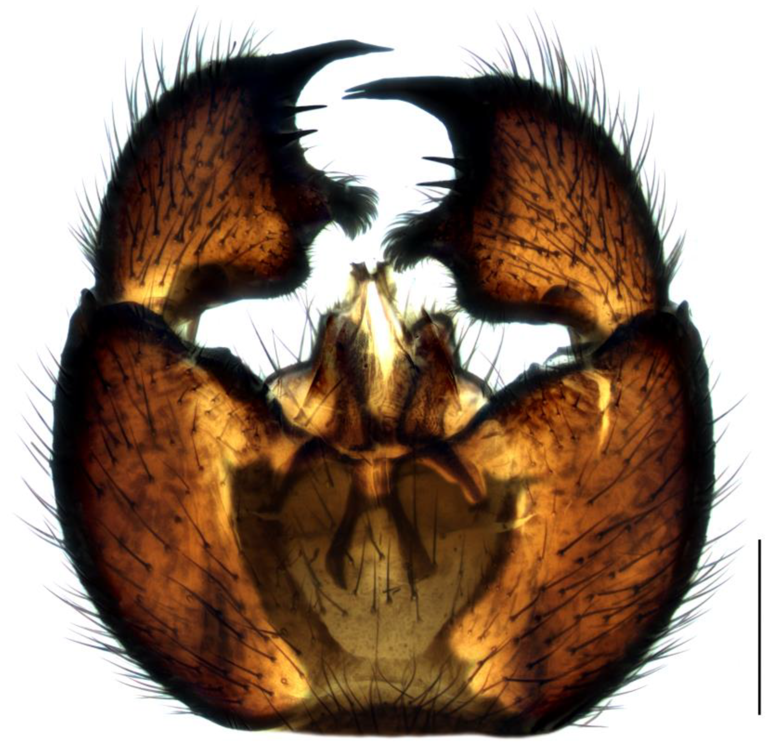 Insects 14 00732 g006