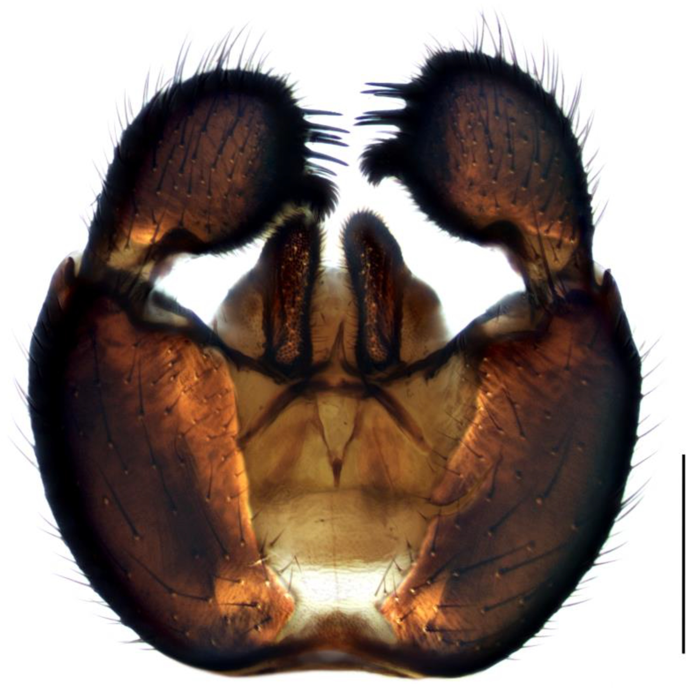 Insects 14 00732 g007