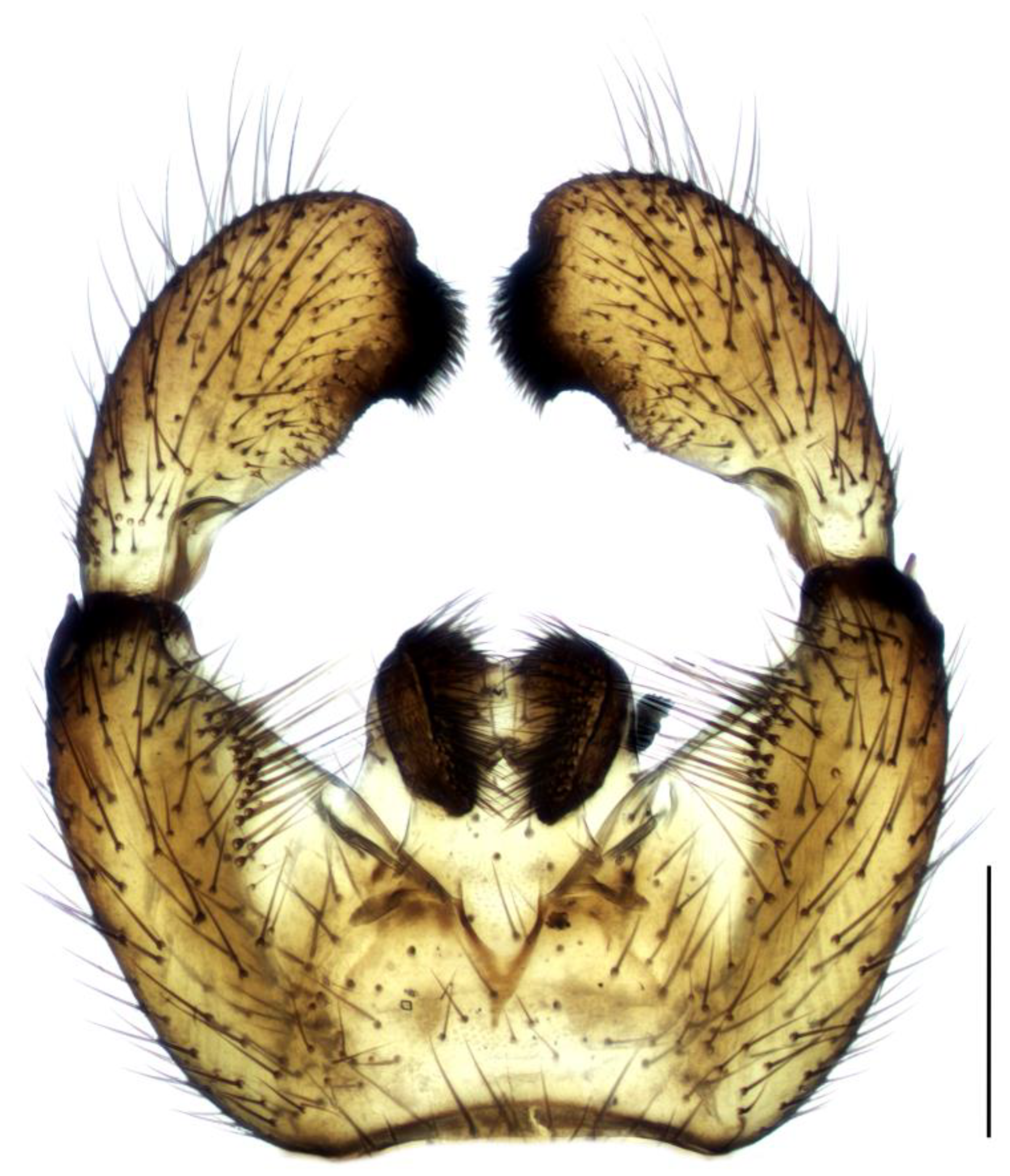 Insects 14 00732 g008