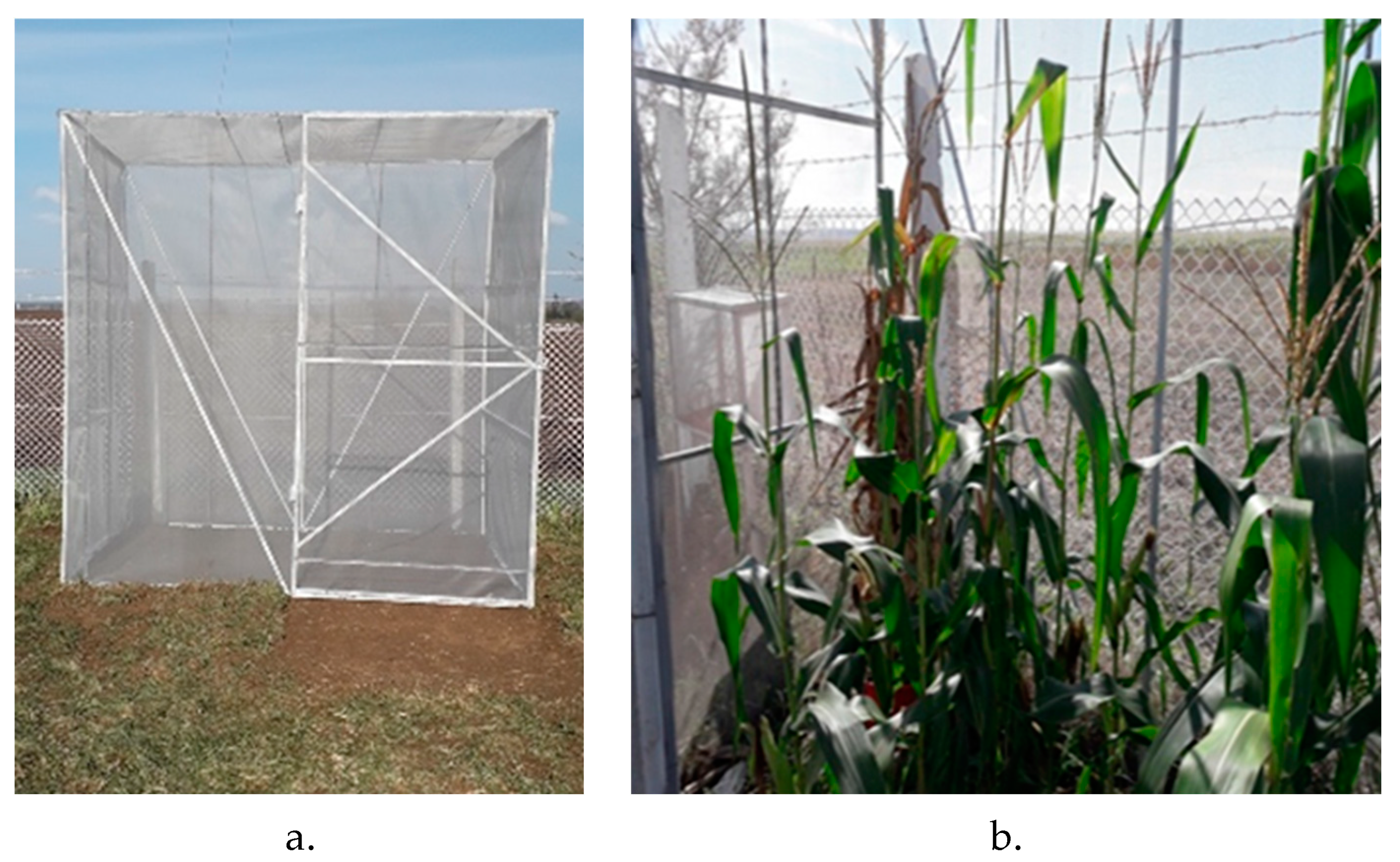 Insects 14 00738 g001