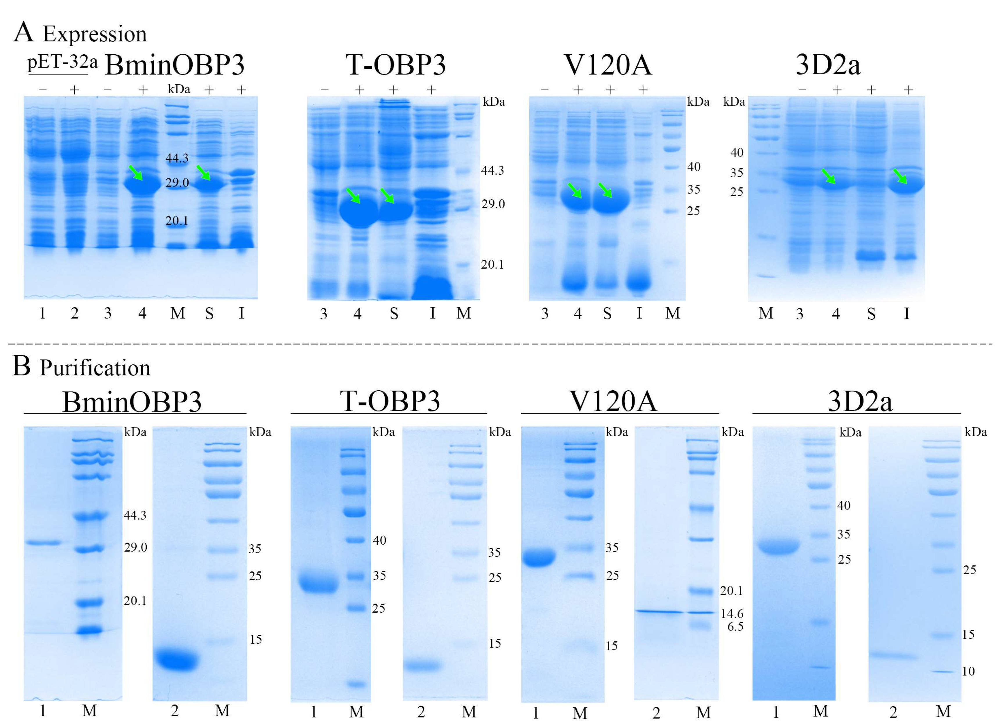Insects 14 00745 g003