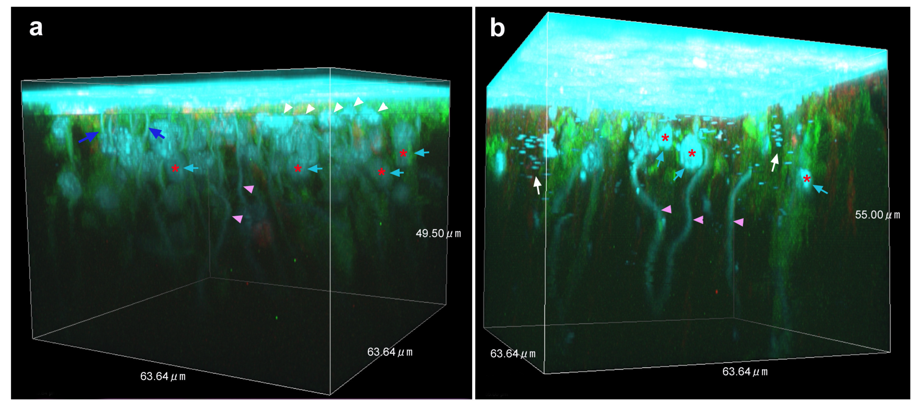 Insects 14 00753 g005