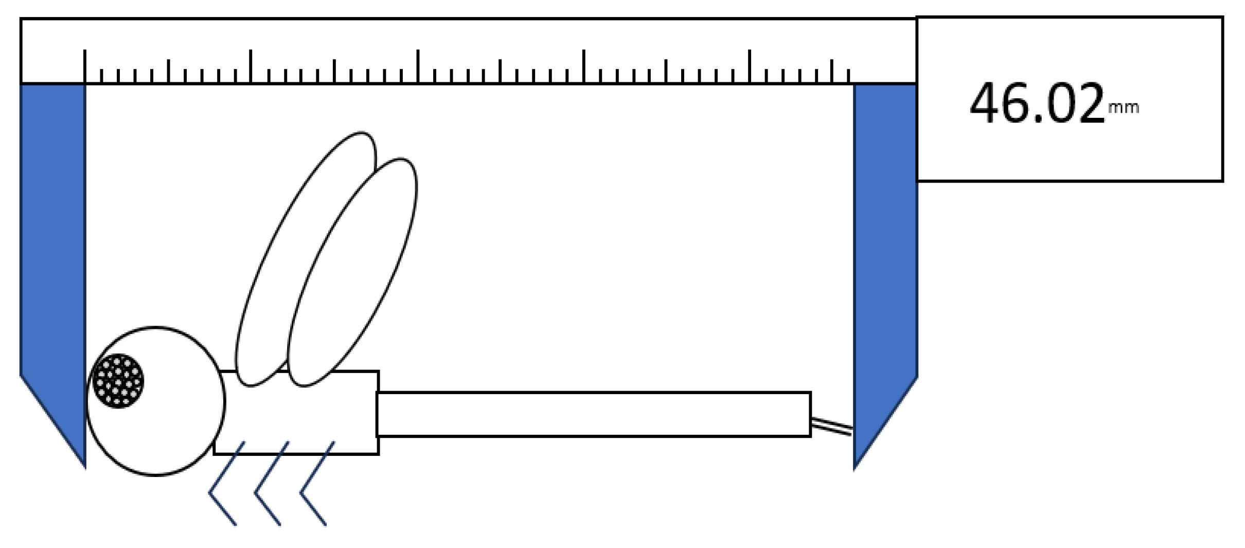 Insects 14 00754 g001