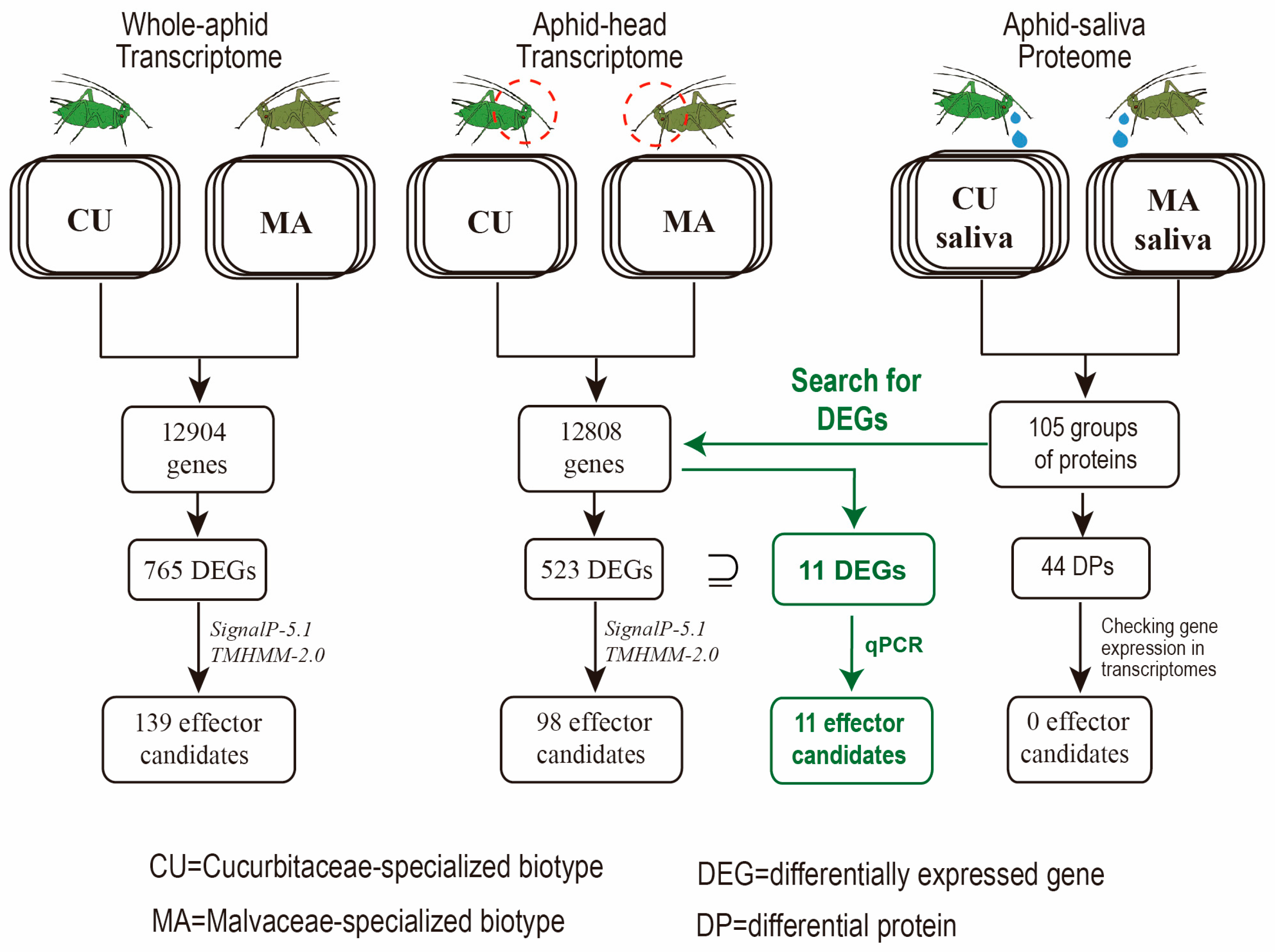 Insects 14 00760 g003