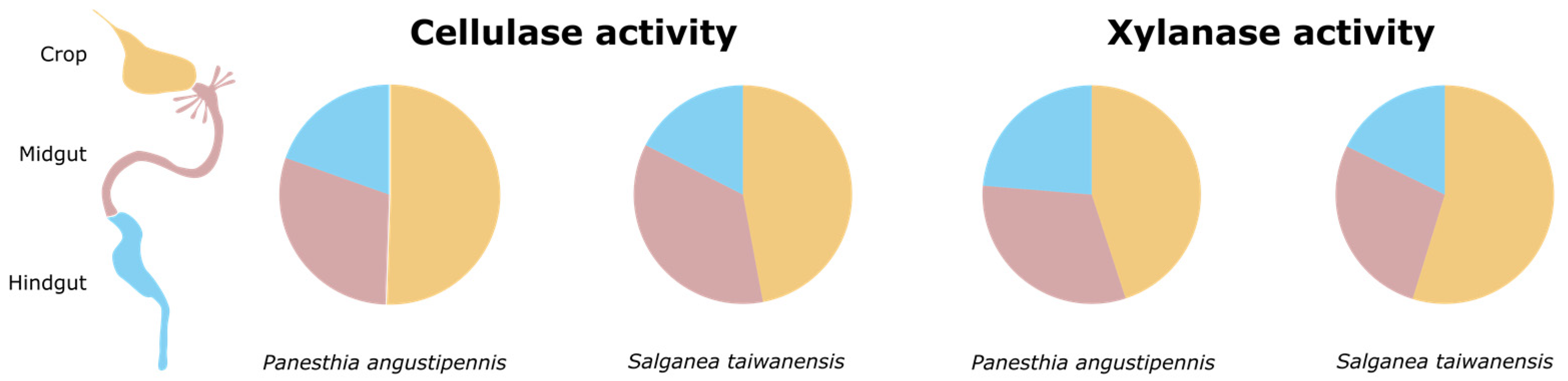 Insects 14 00768 g001
