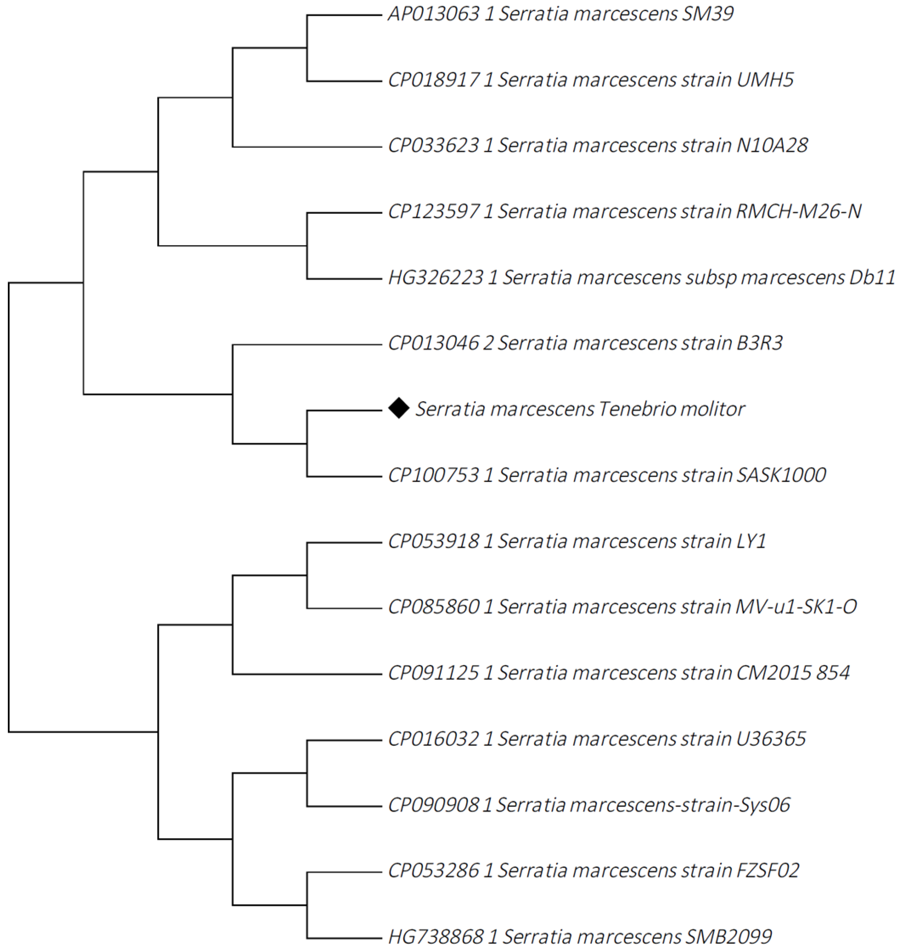 Insects 14 00770 g002 Insects 14 00770 g002