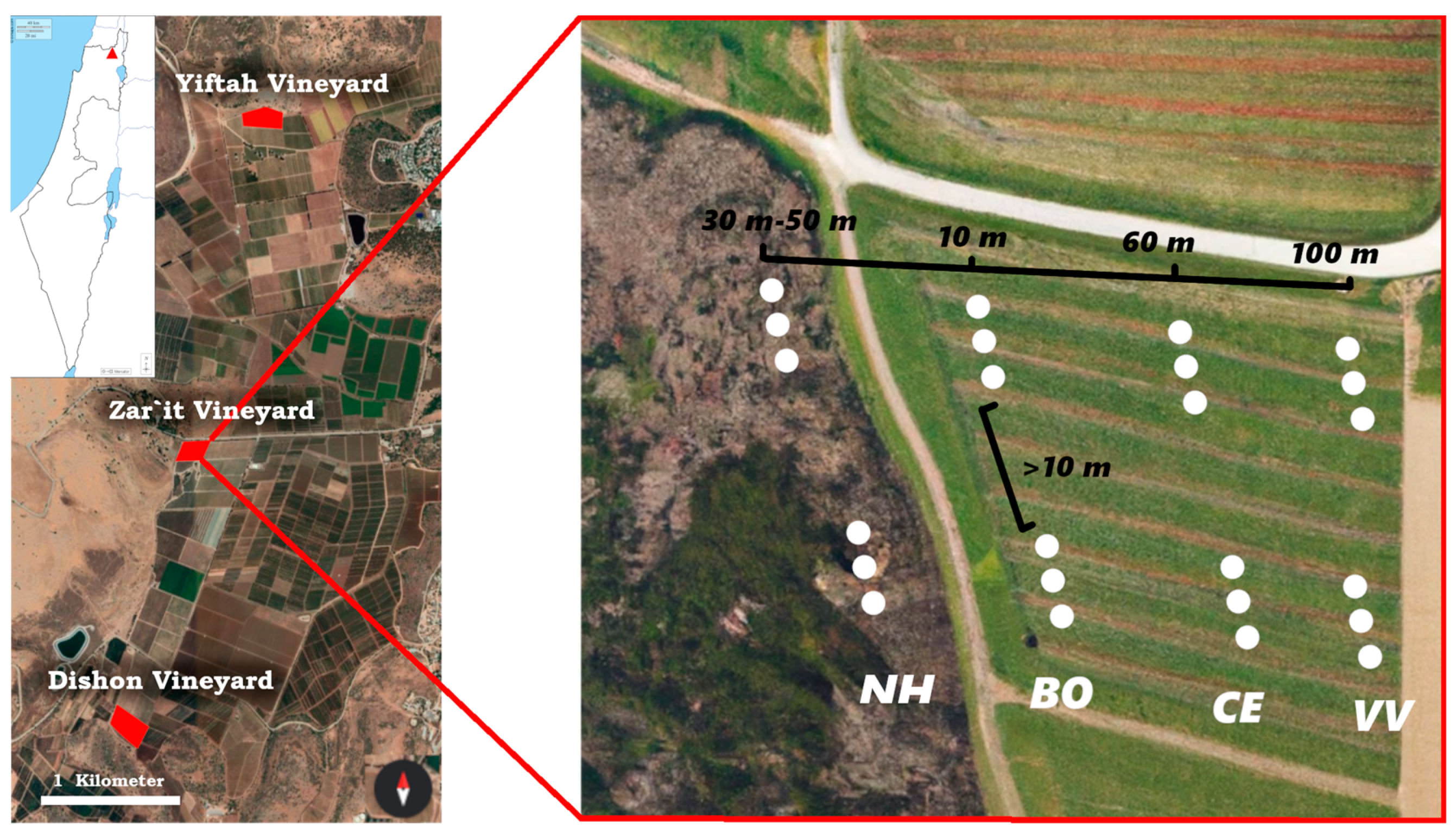 Insects 14 00782 g001