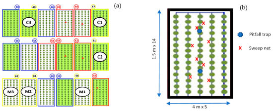 Insects 14 00783 g0a2