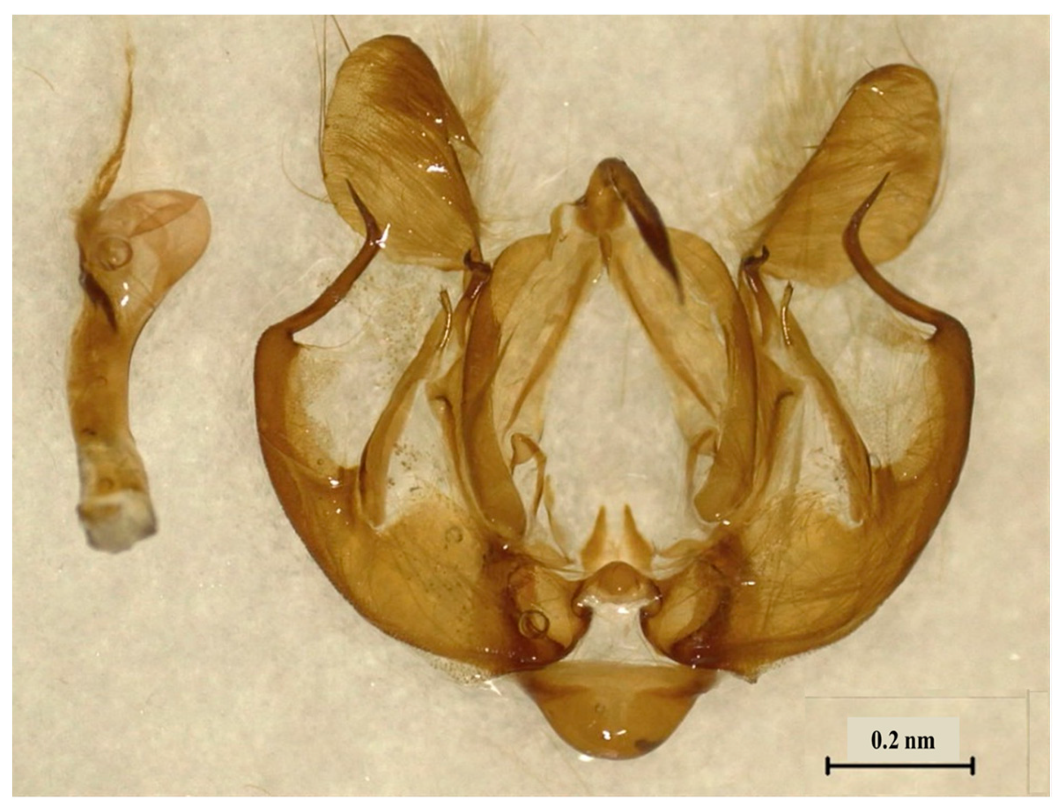 Insects 14 00786 g003