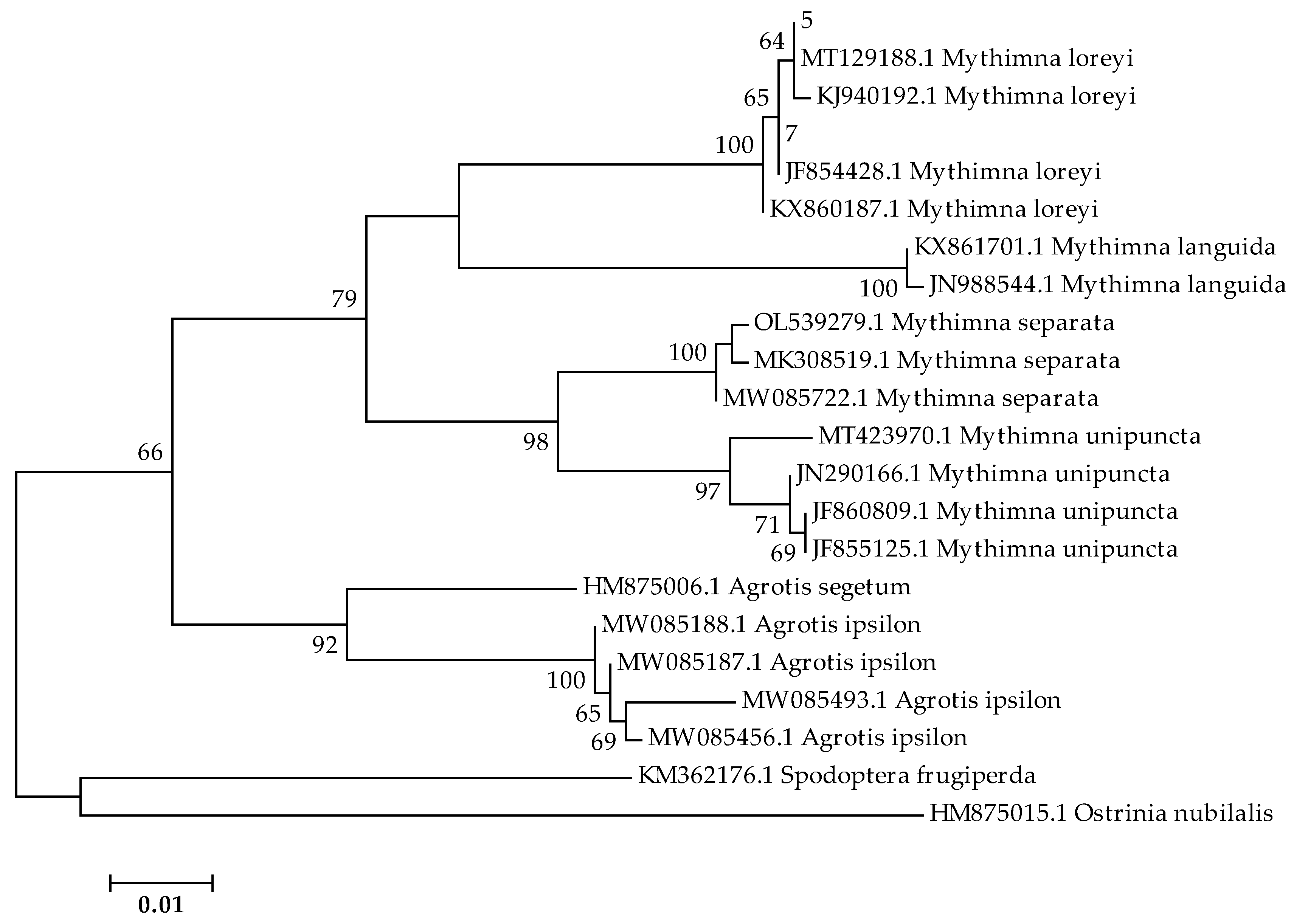Insects 14 00786 g004