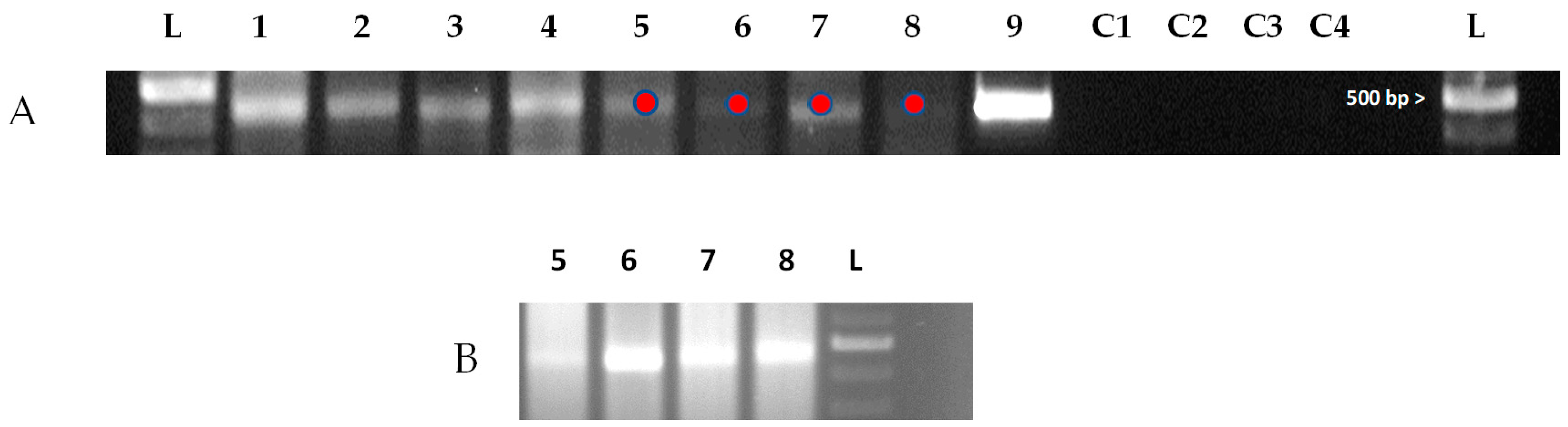 Insects 14 00788 g003