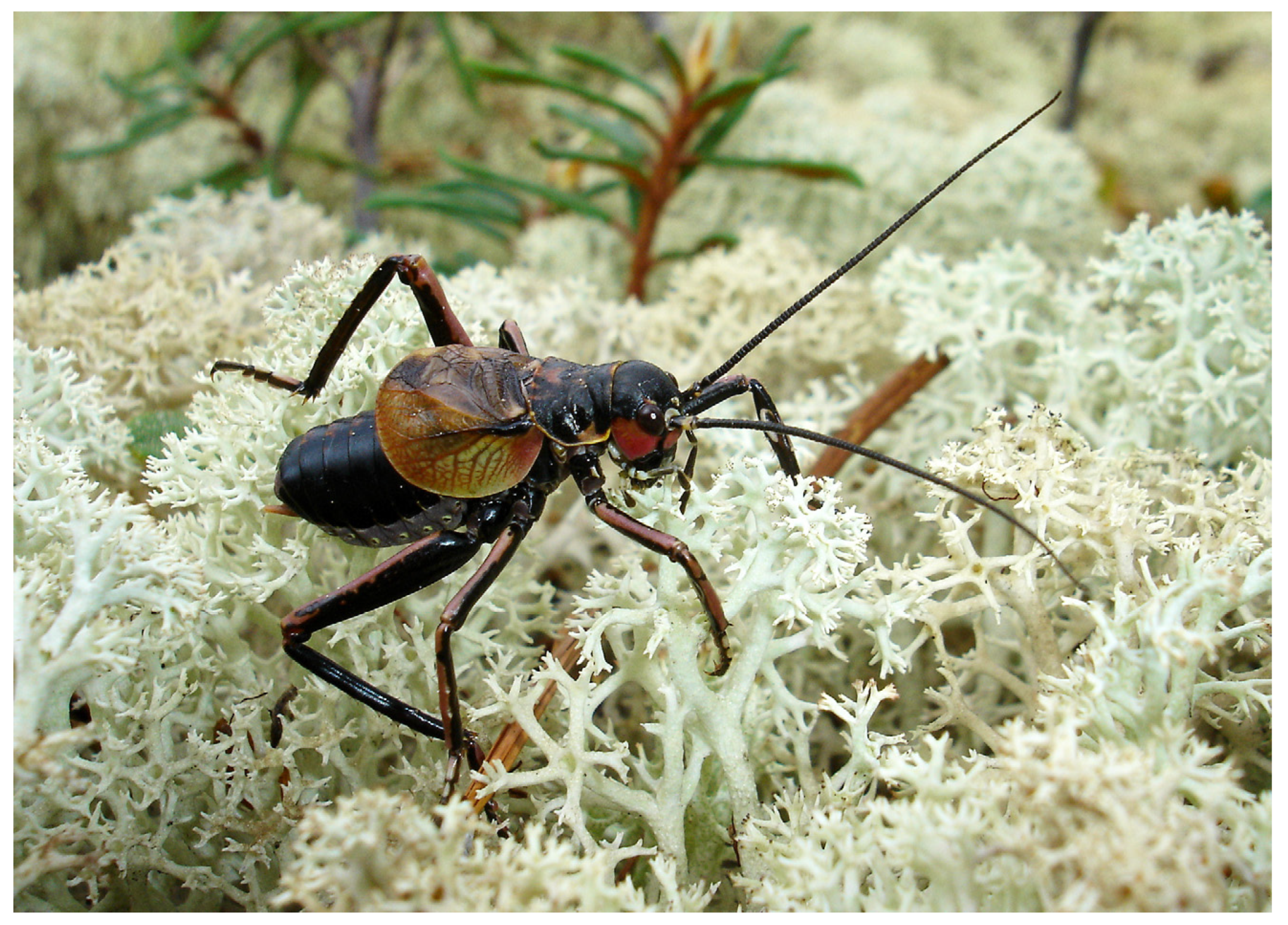 Insects 14 00789 g004 Insects 14 00789 g004