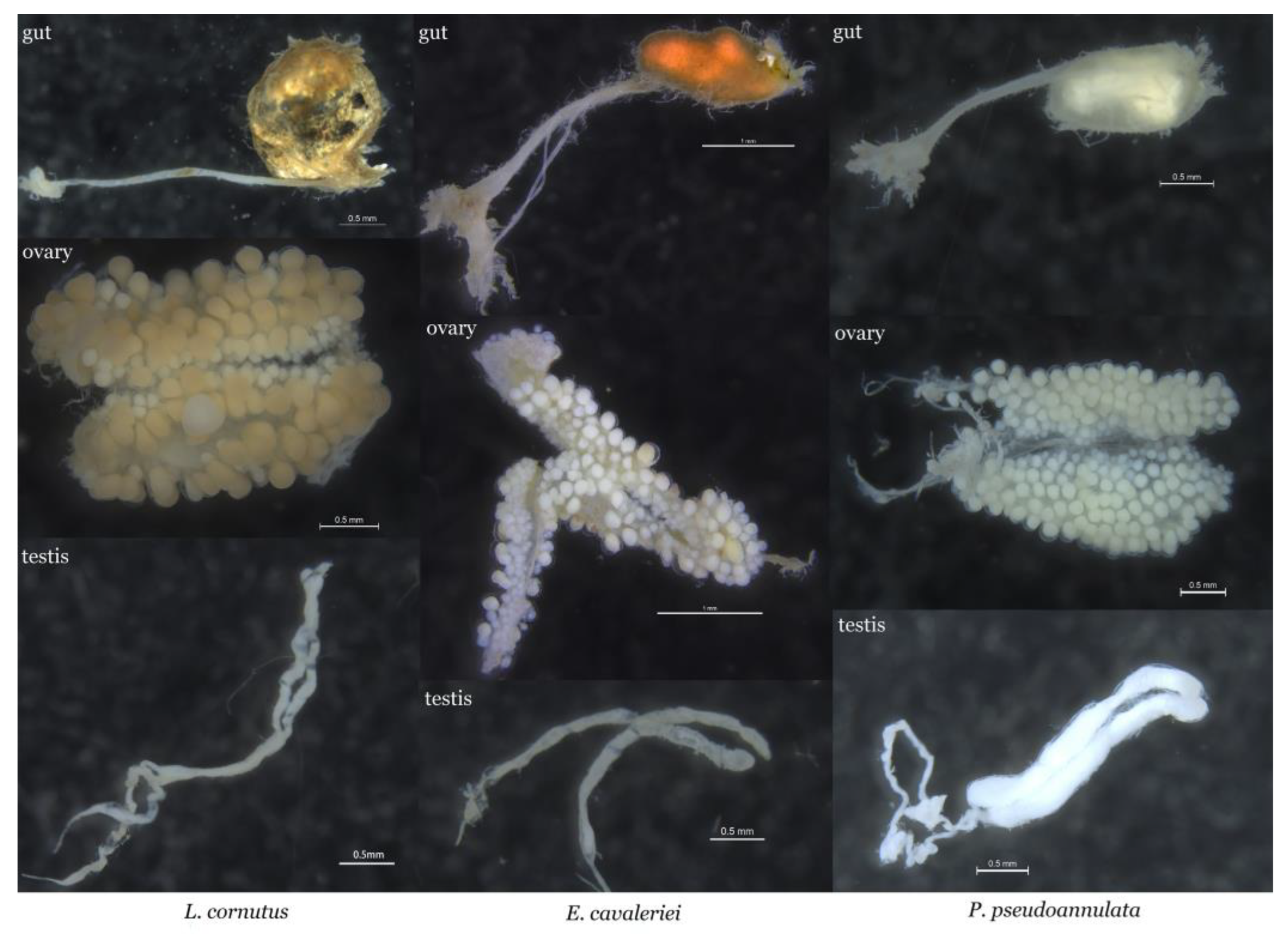 Insects 14 00792 g001