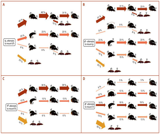 Insects 14 00806 g003