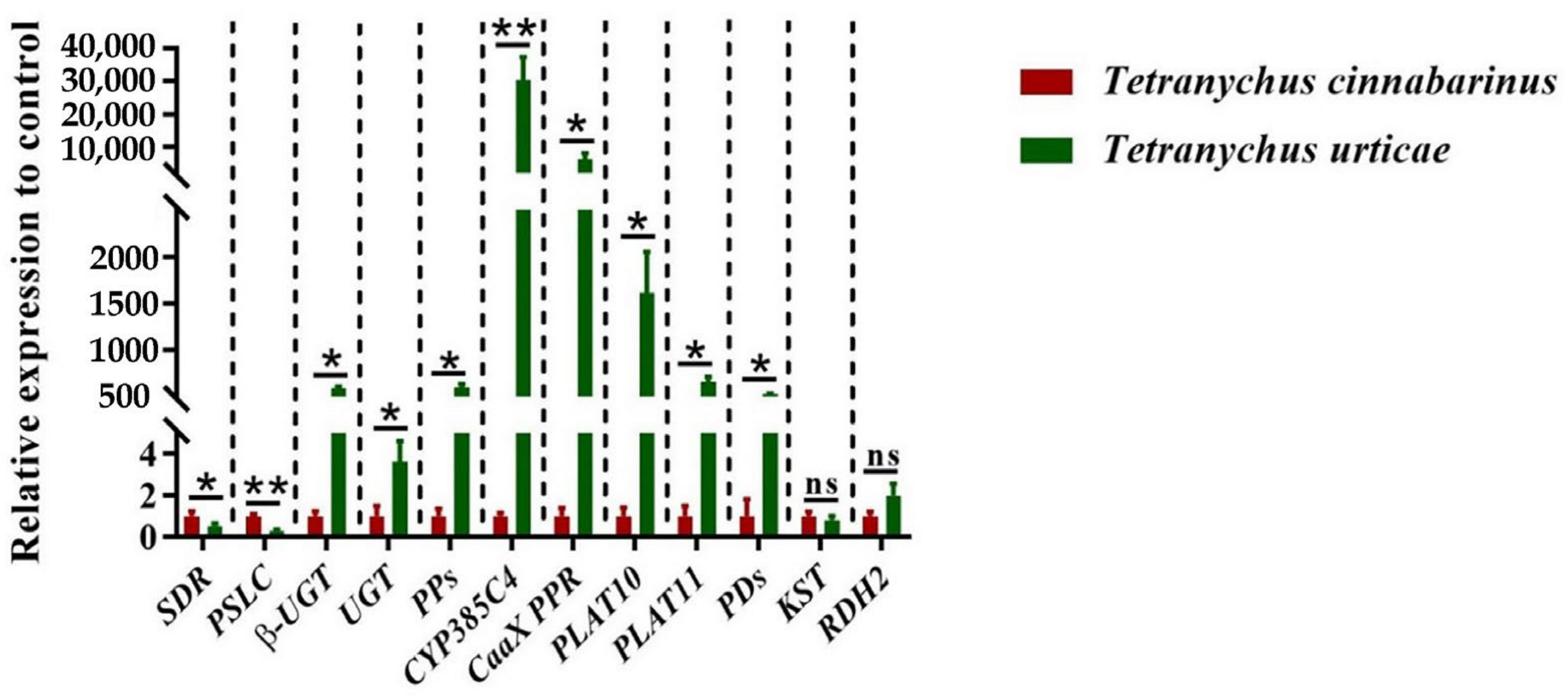 Insects 14 00823 g005