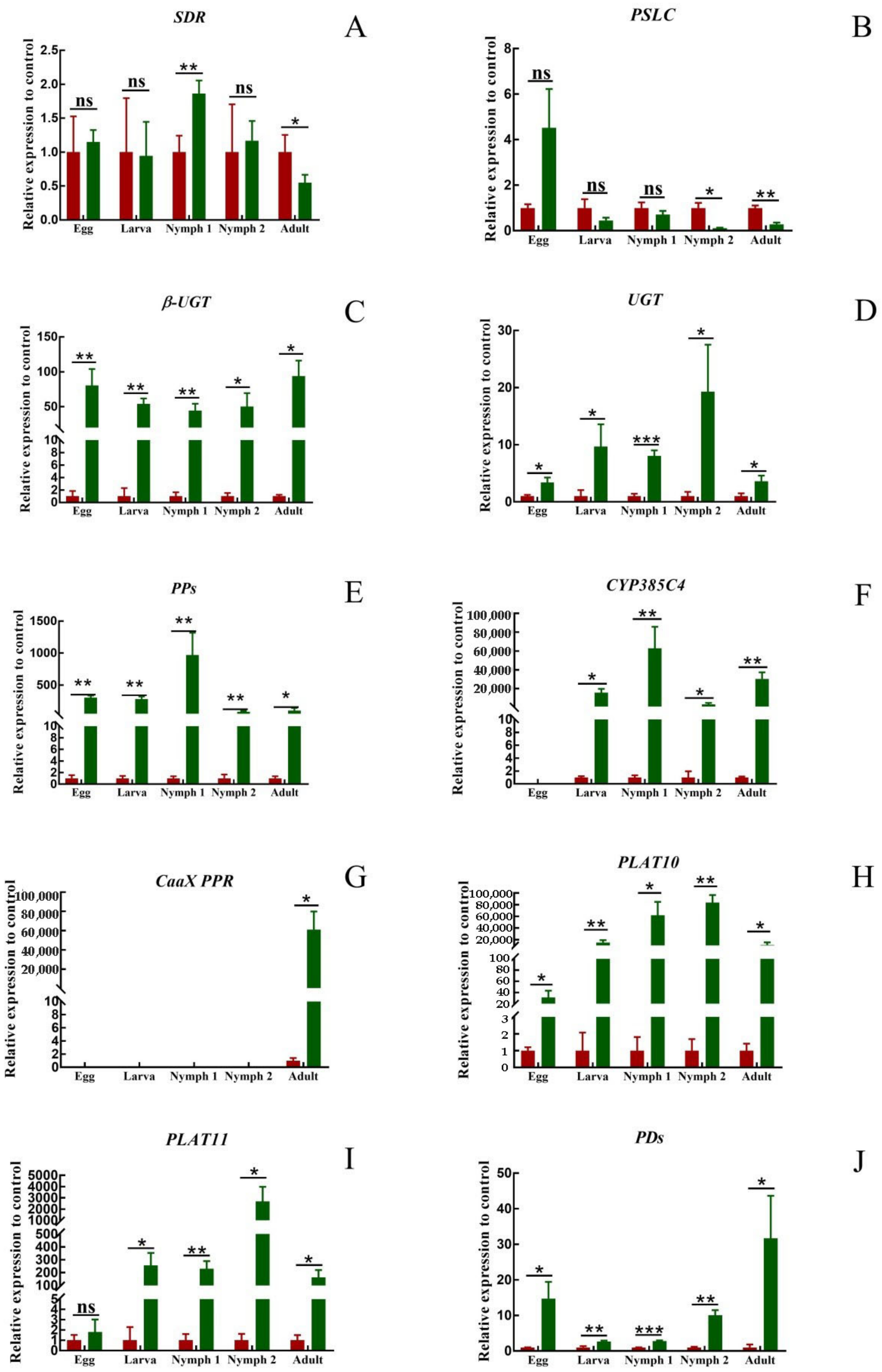 Insects 14 00823 g006