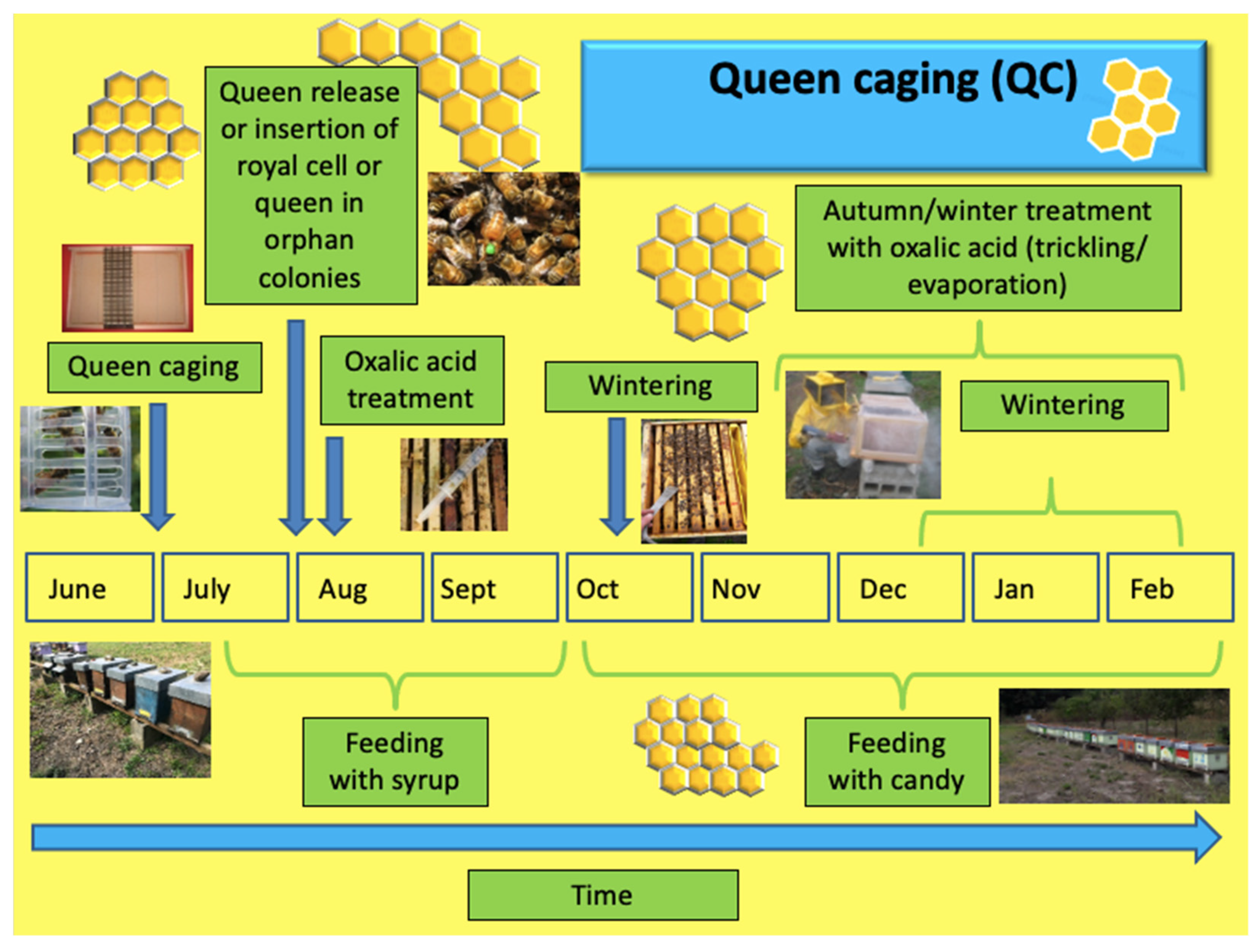 Insects 14 00830 g004
