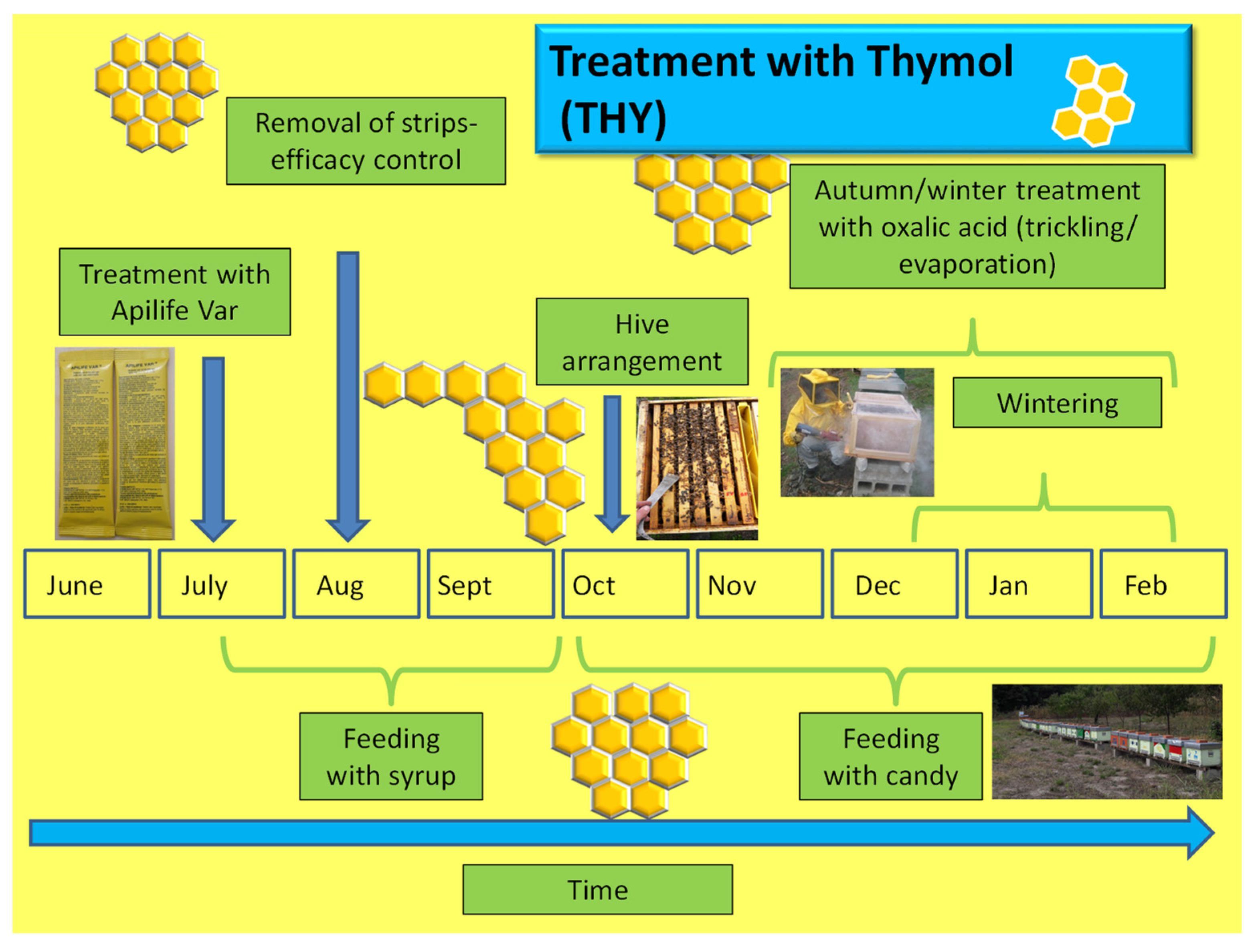 Insects 14 00830 g006