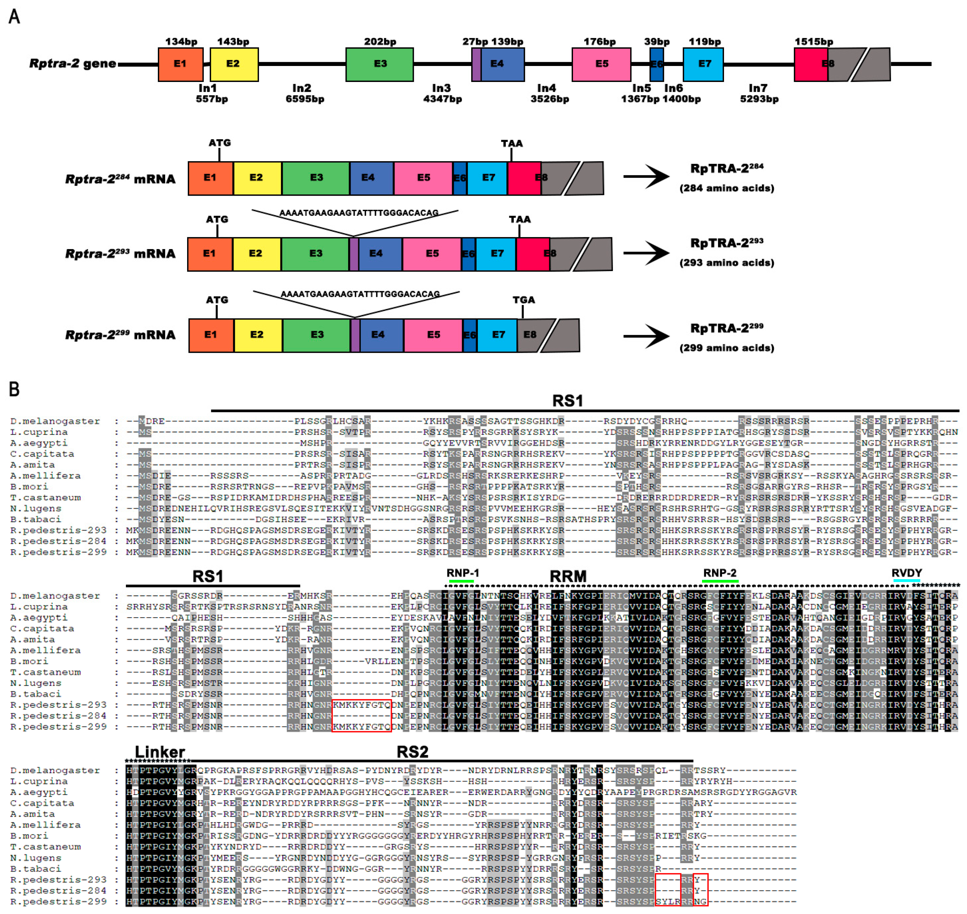 Insects 14 00834 g001