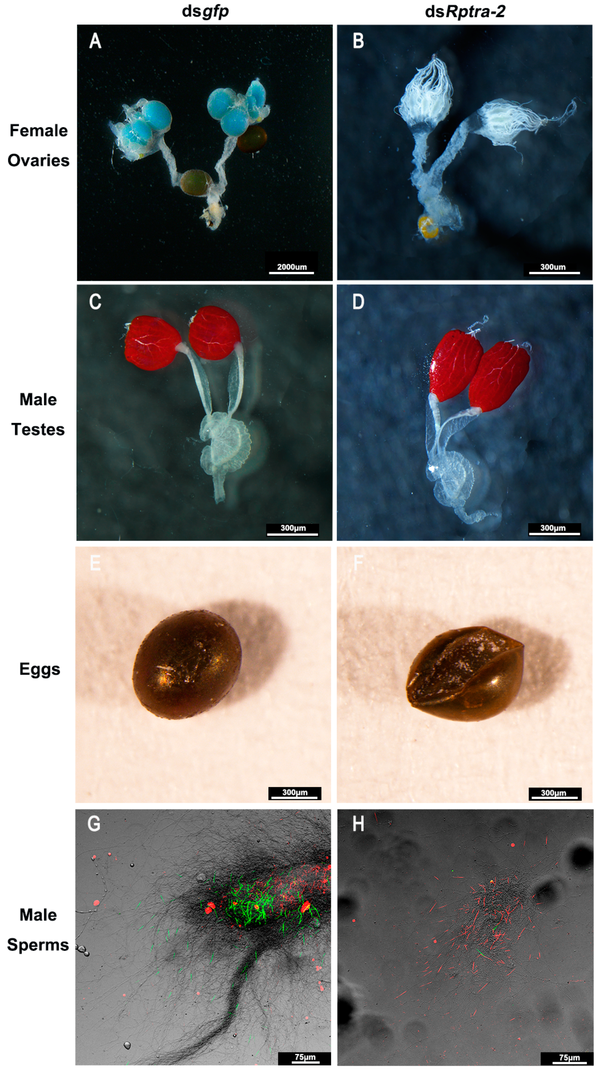Insects 14 00834 g005
