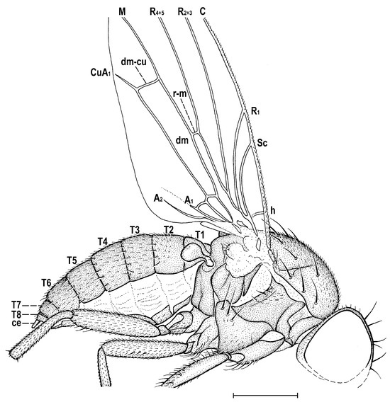 Insects 14 00835 g005