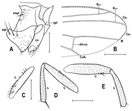 Insects 14 00835 g006