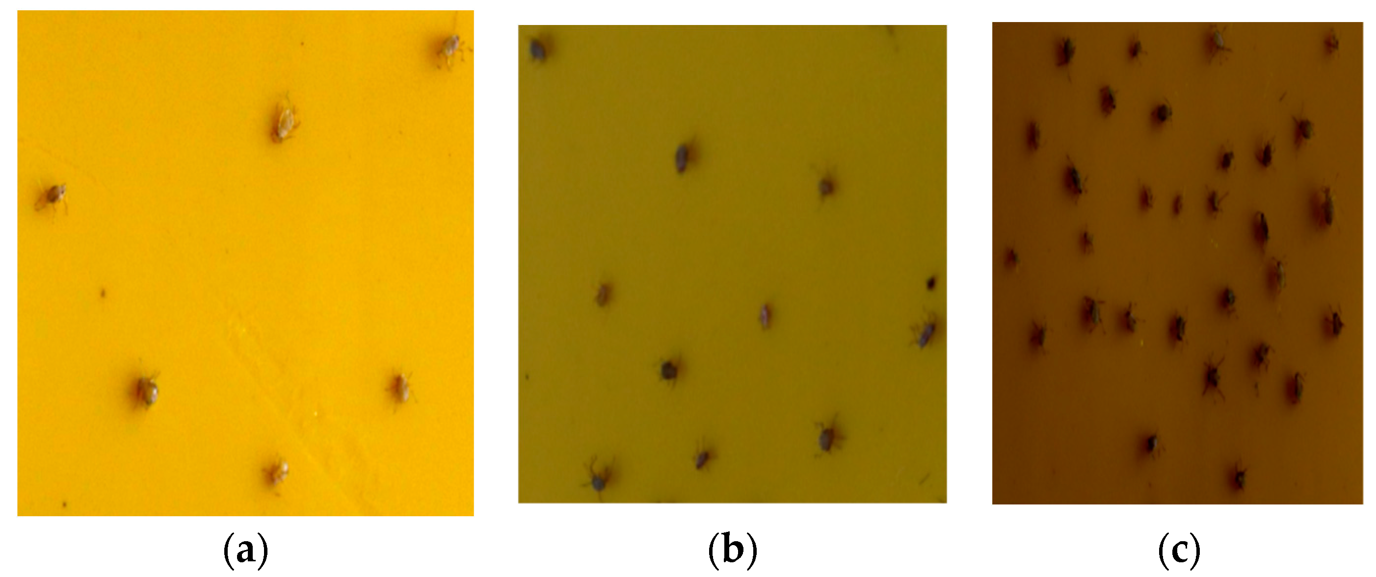 Insects 14 00839 g003