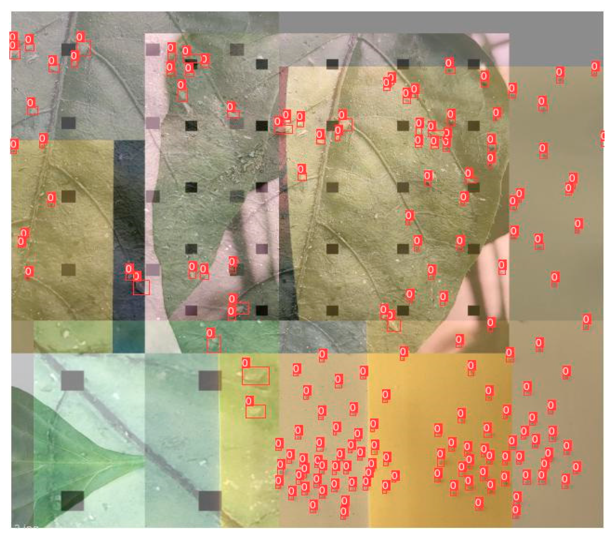 Insects 14 00839 g004