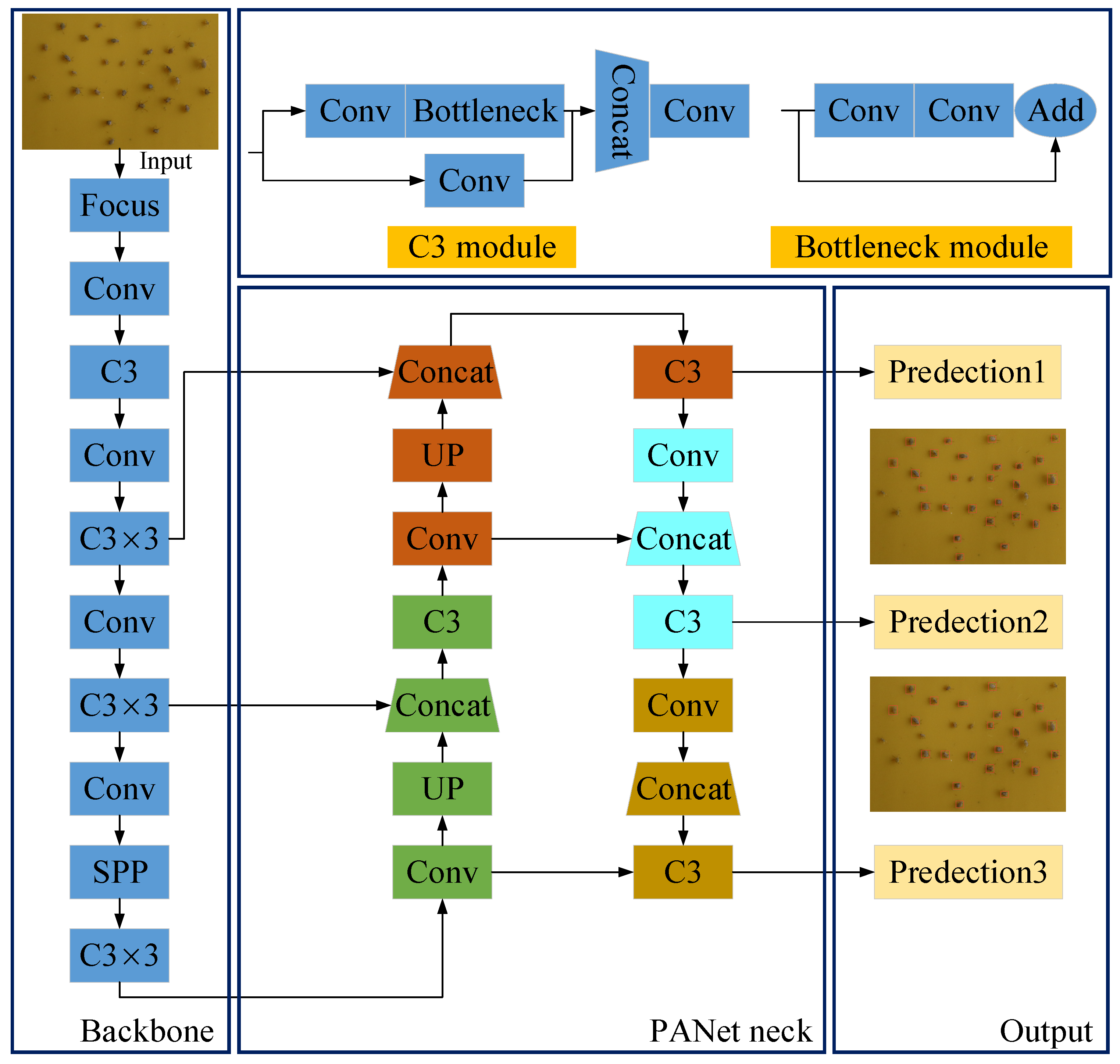 Insects 14 00839 g005