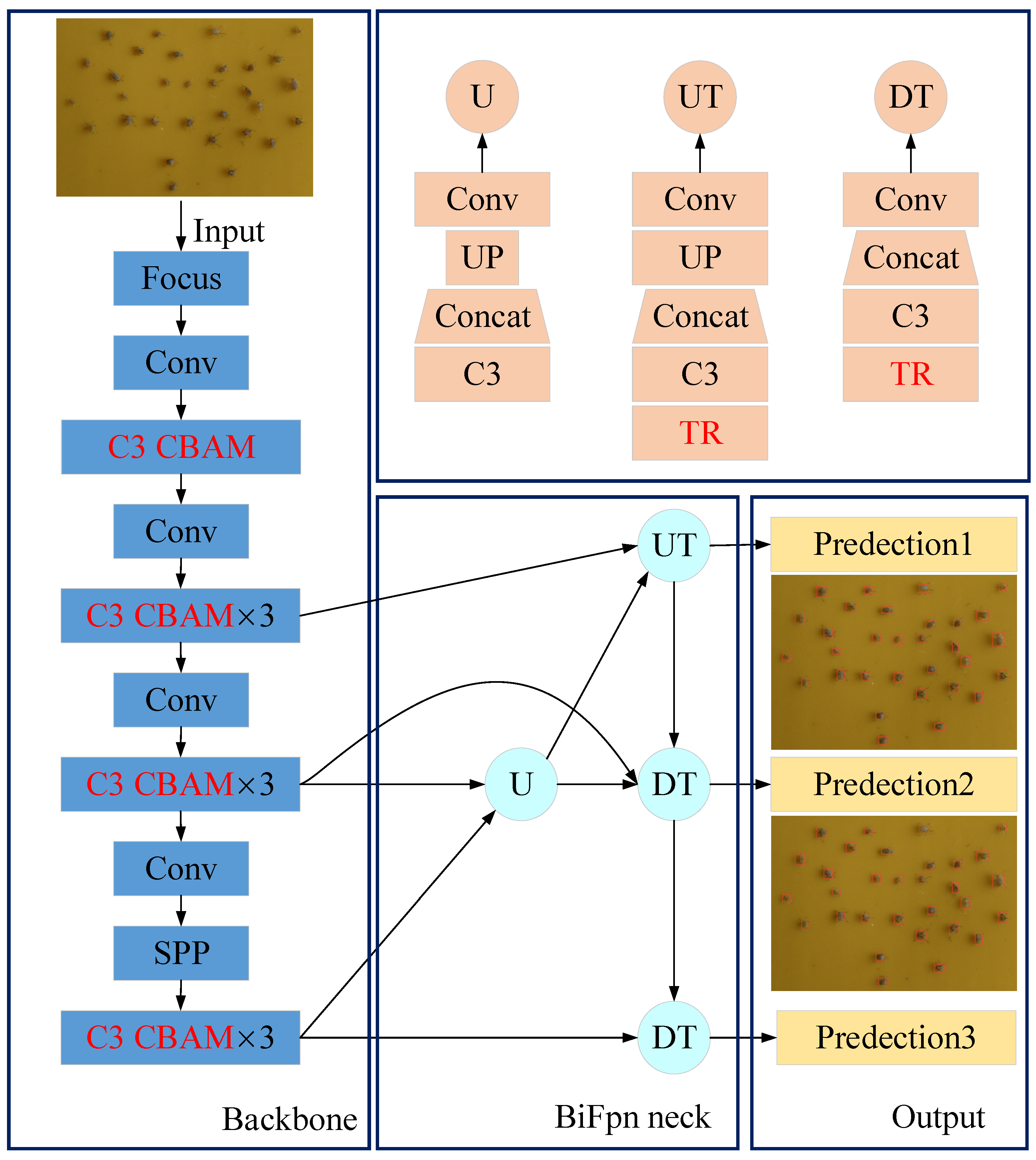Insects 14 00839 g006