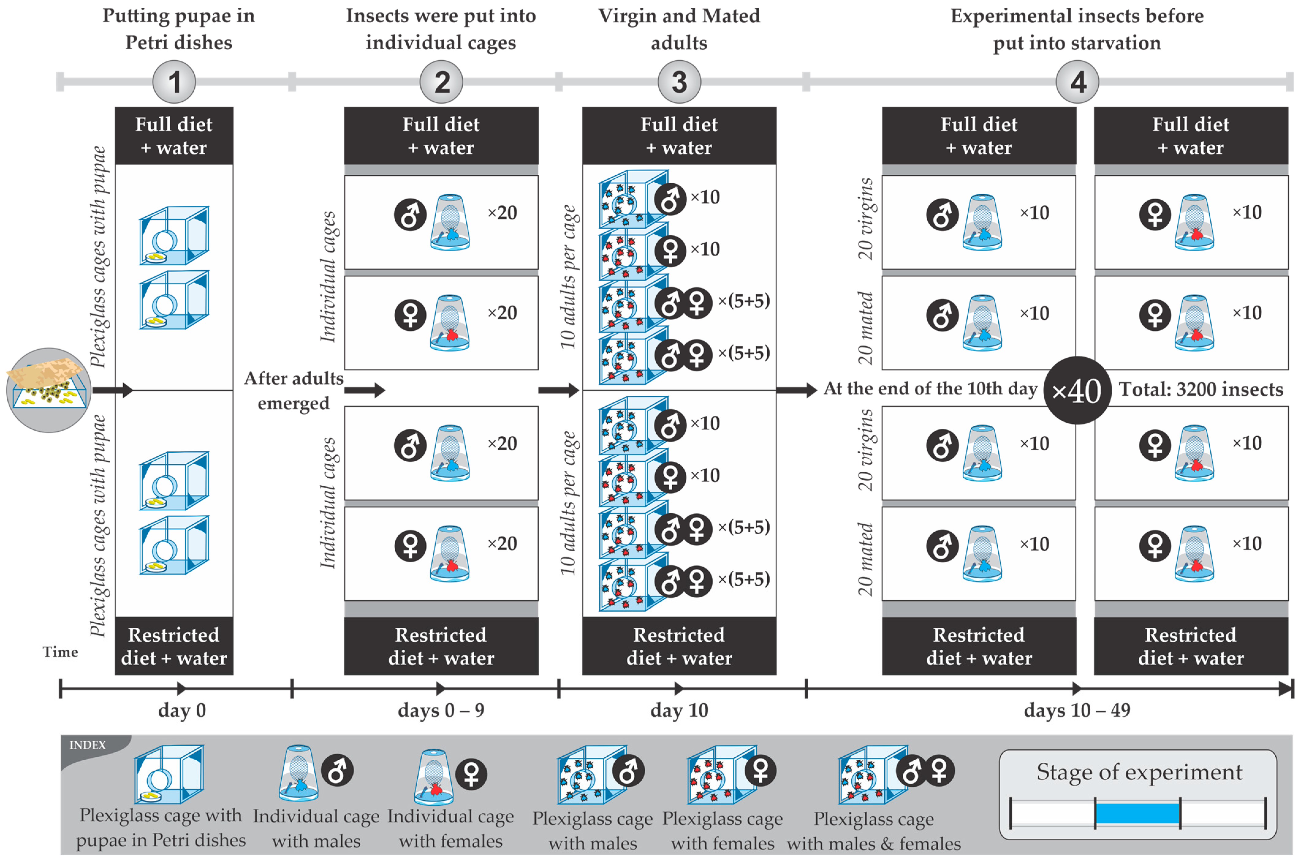 Insects 14 00841 g004