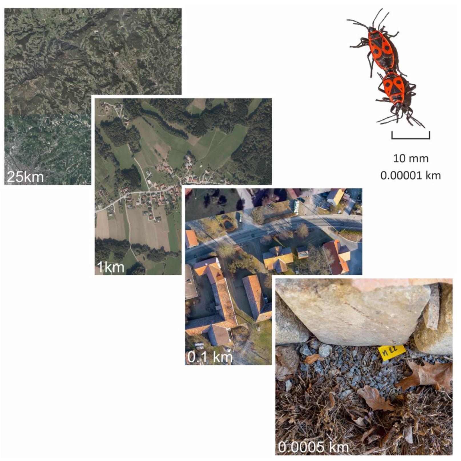 Insects 14 00843 g001