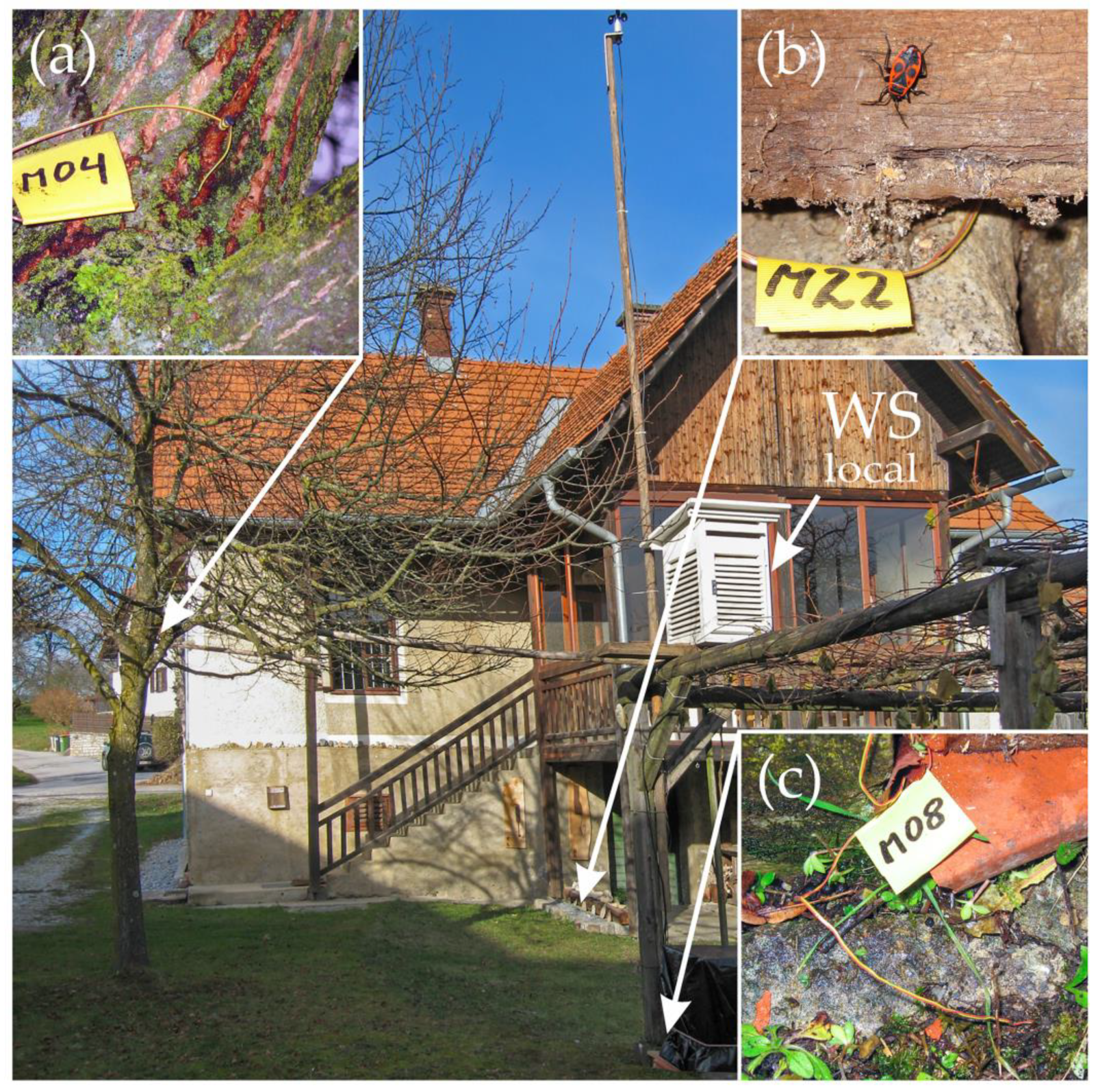 Insects 14 00843 g002