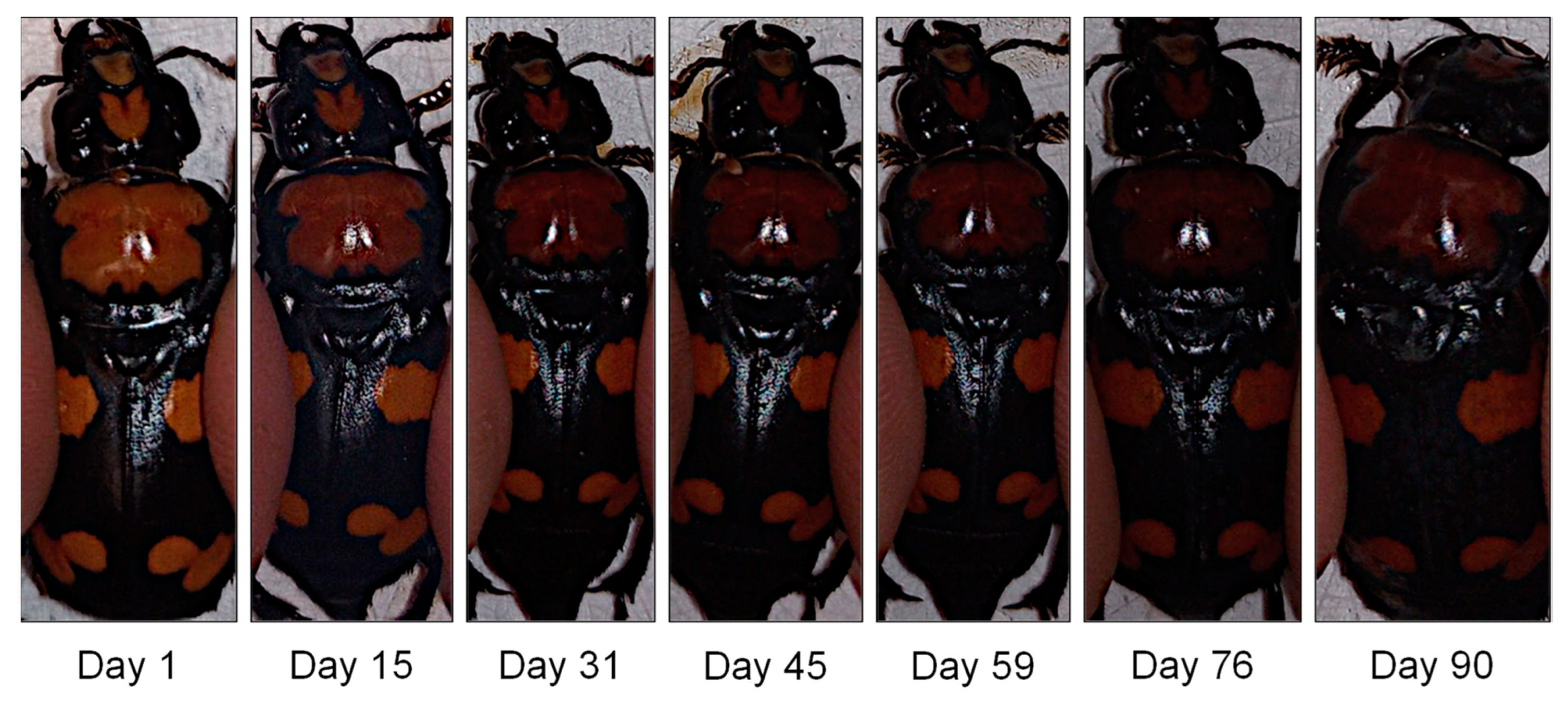 Insects 14 00844 g001