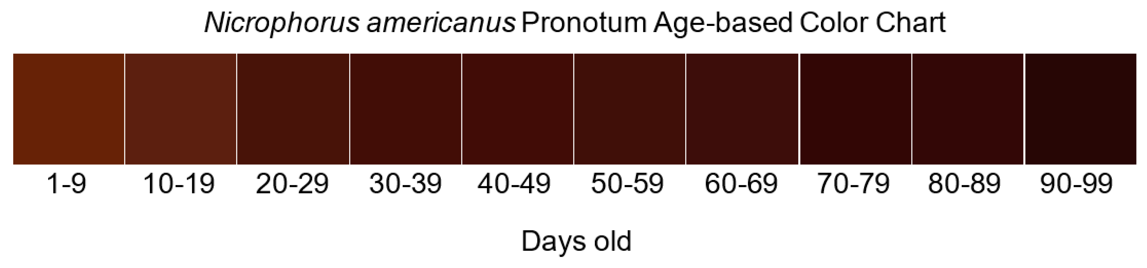 Insects 14 00844 g003