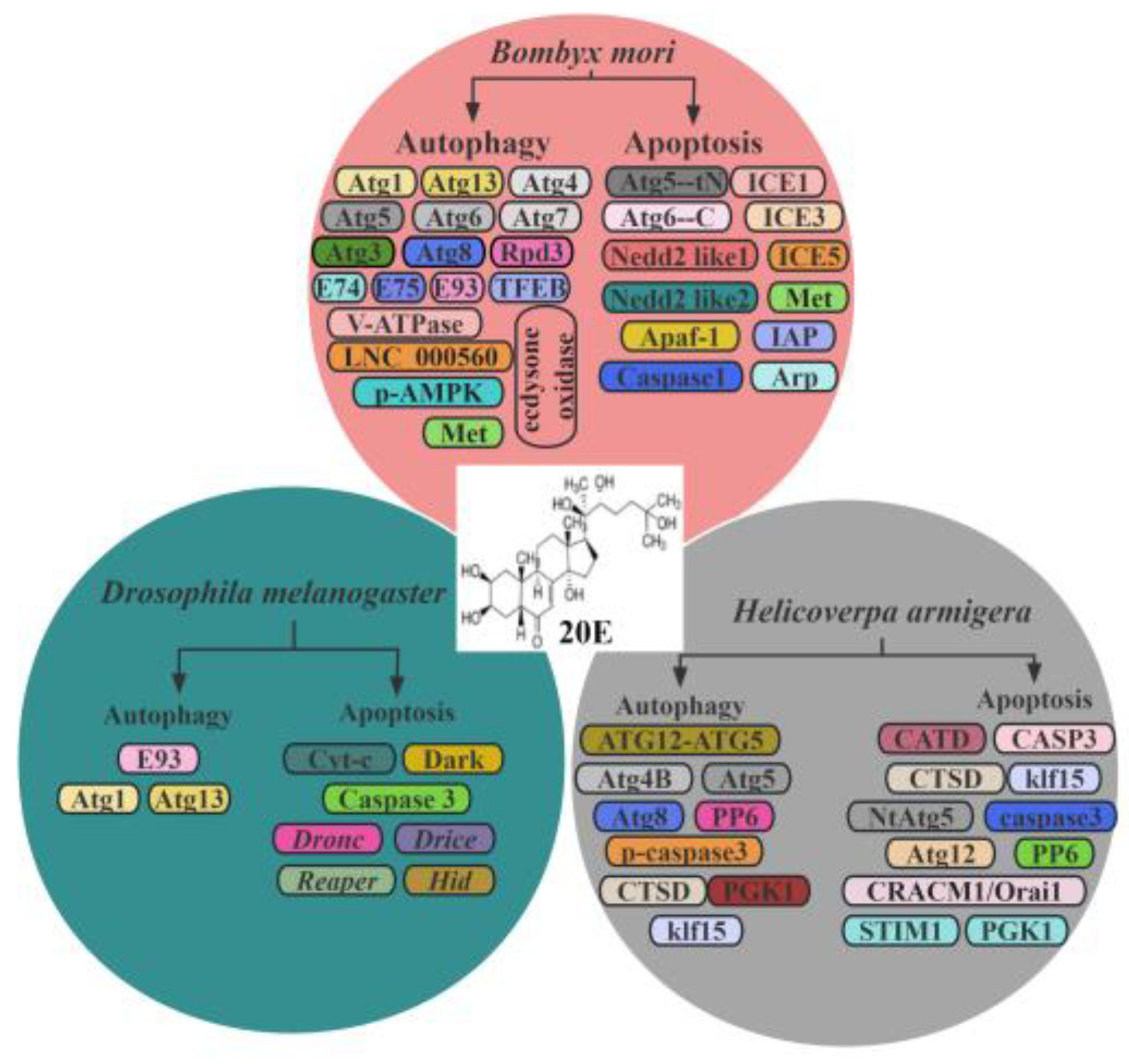 Insects 14 00871 g002