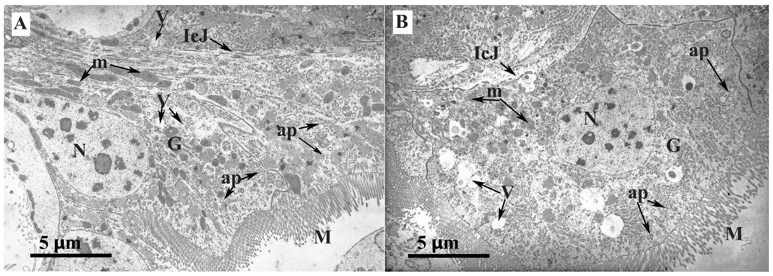 Insects 14 00889 g007