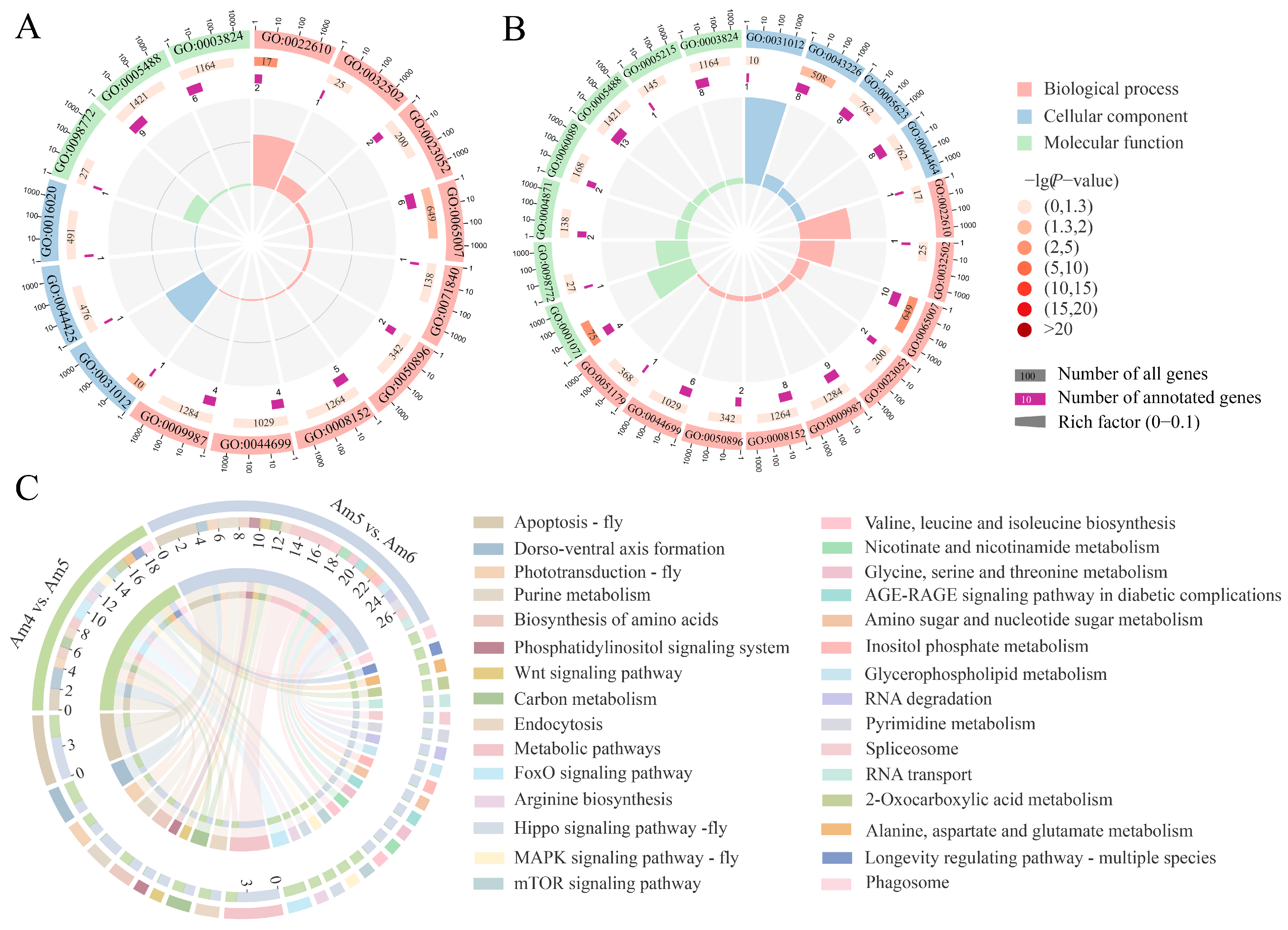 Insects 14 00897 g003