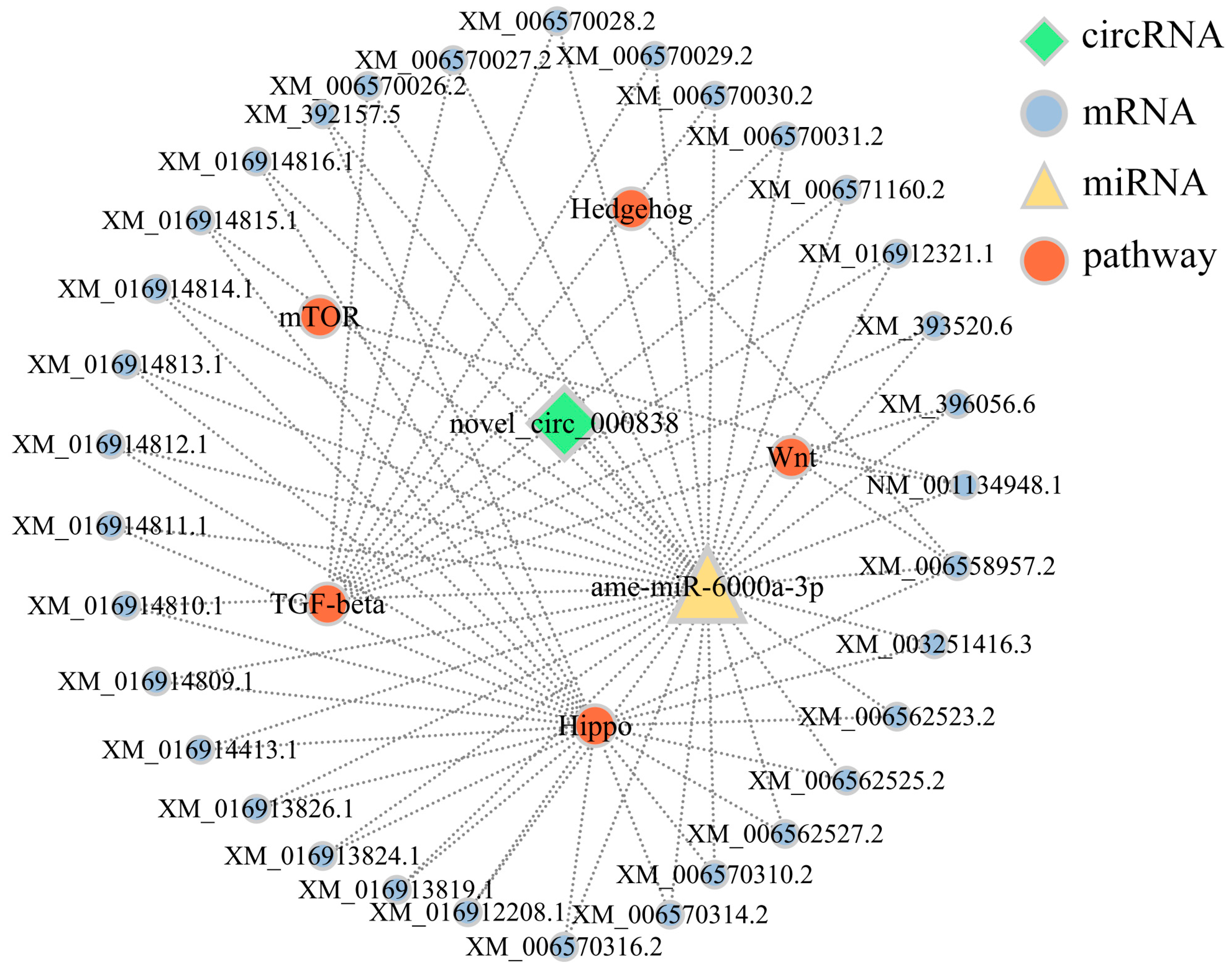 Insects 14 00897 g005